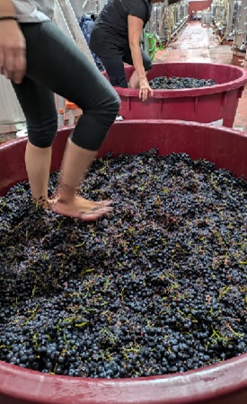 Dominio de MonteLaHorra, Ribera del Duero DO, Valezar